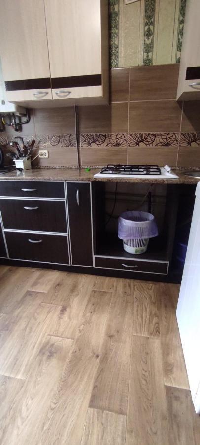 Кирова 13 Daire Dnipro Dış mekan fotoğraf